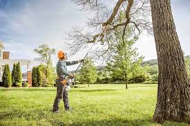 Best Hedge Trimming  in Downingtown, PA